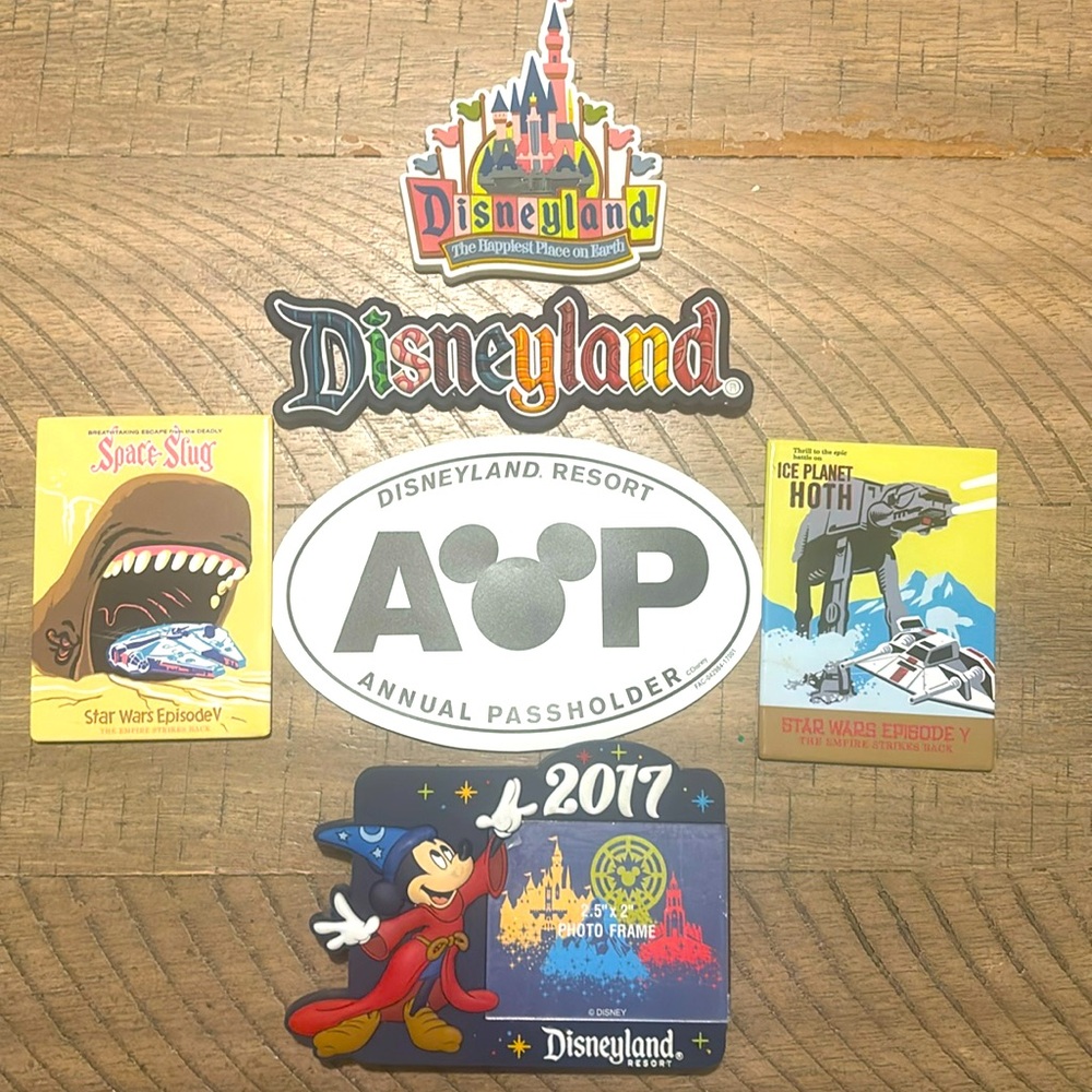 Disneyland resort authentic annual pass holder magnet.